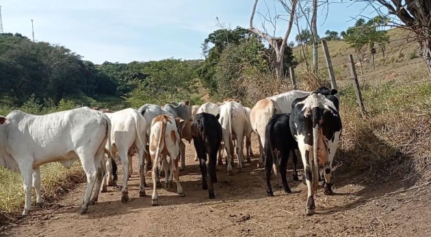 FOTO divulgação PCMG