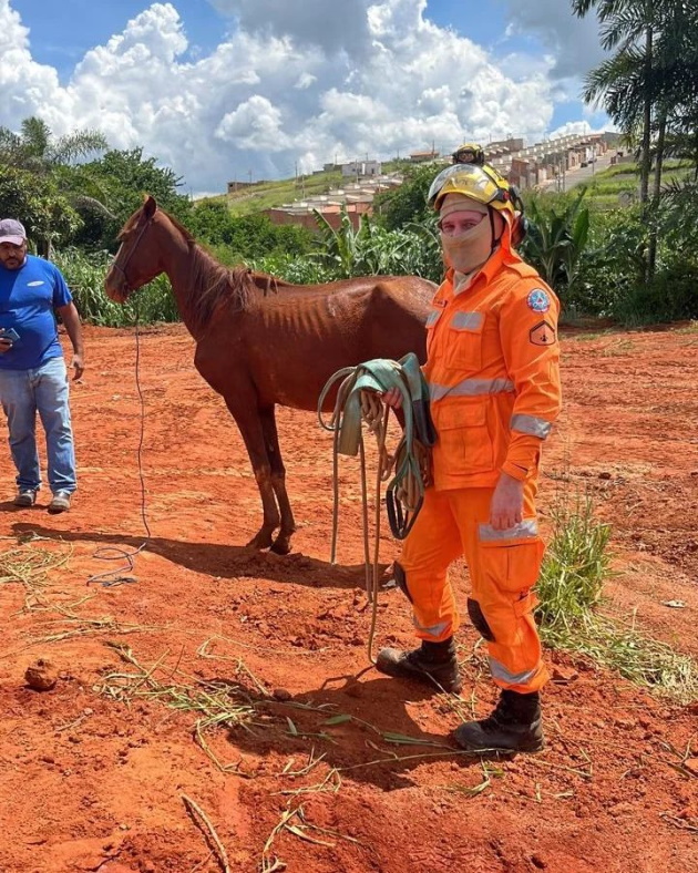 FOTO divulgação Corpo de Bombeiros